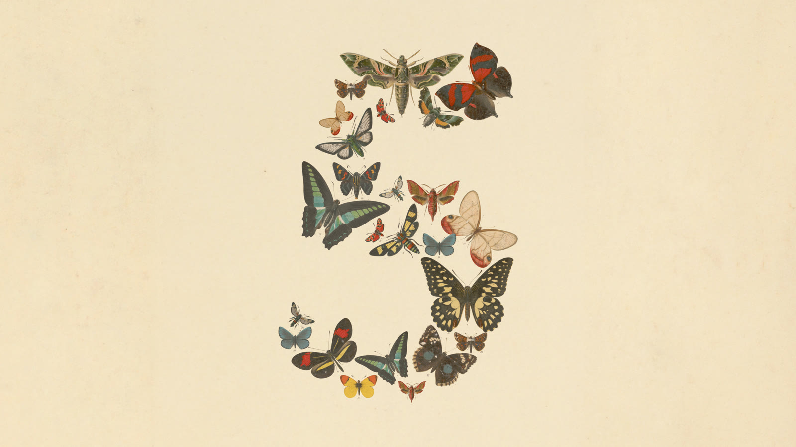 Claude 5 family launch artwork: vintage butterfly illustrations arranged in the shape of a numeral 5 on a cream background